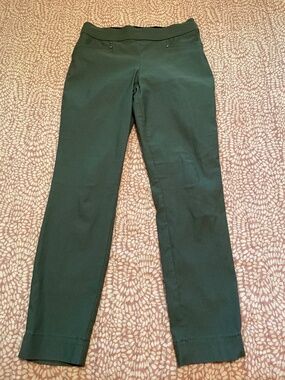 Violets & Roses green pull on pant